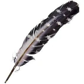 12" Smudging Feather - Triple Moon