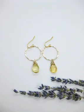 Iris: Citrine Earrings - e621